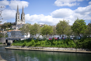 Vétérinaire de Garde Niort